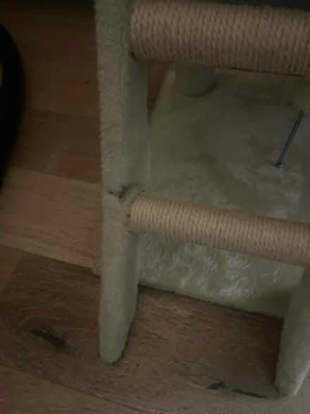 Photo of free Cat tree in good shape (Upper Holloway N19) #3