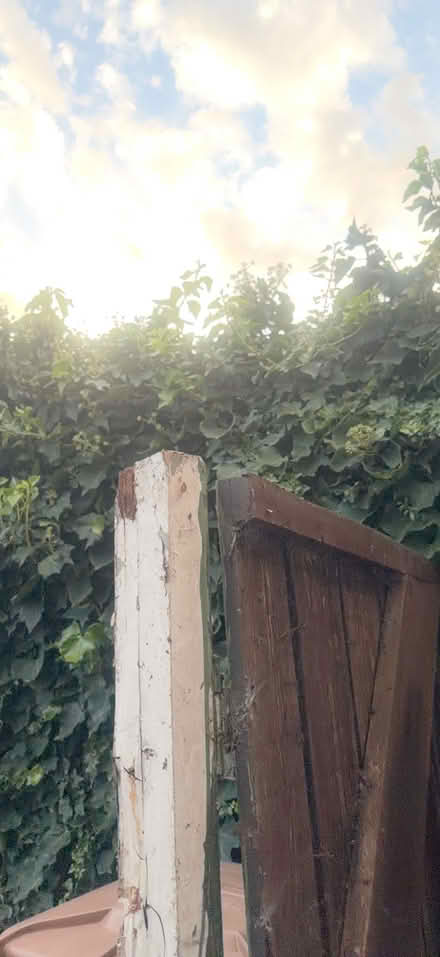 Photo of free Garden Gate (Eastfield PE1) #4