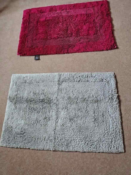 Photo of free Bathroom Mat X 2 (Bexhill TN40) #1