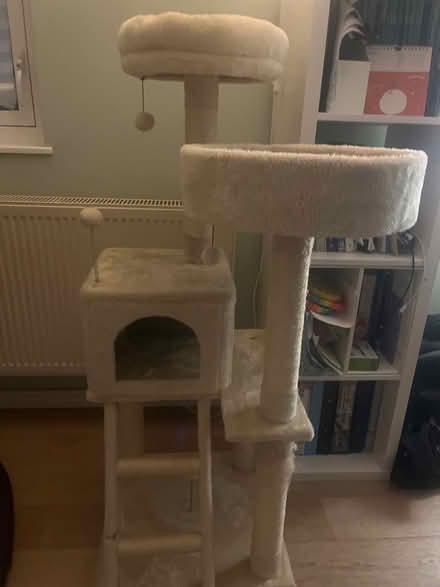 Photo of free Cat tree in good shape (Upper Holloway N19) #1