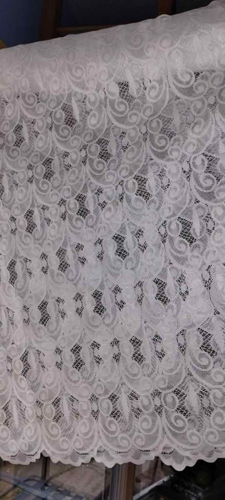 Photo of free 2 net curtains (St Leonards) #1