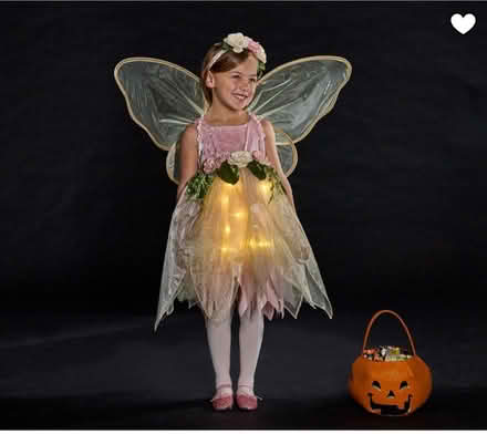 Photo of free Pottery Barn light up fairy costume (El Cerrito) #4