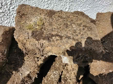 Photo of free Crazy Paving Or Clean Fill (Victoria, Rotorua) #1