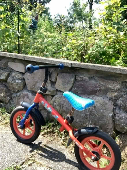Photo of free Child balance bike (Rowrah CA26) #2