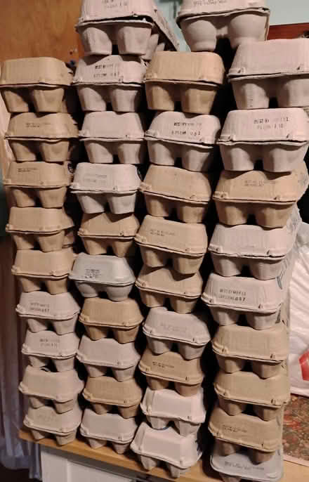 Photo of free Egg Crates (Holbrook) #1