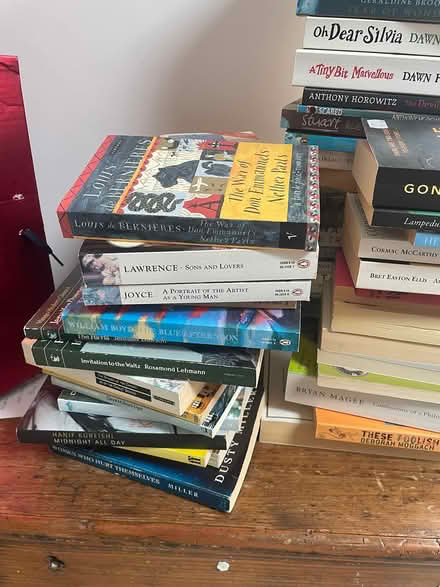 Photo of free Bags of books (Abingdon OX14) #1