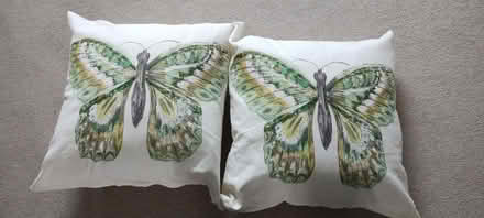 Photo of free Cushions (Arleston DE24) #1