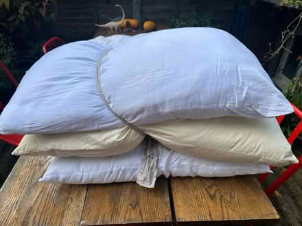 Photo of free 3 rectangular bed pillows (Shaklwell N16) #1