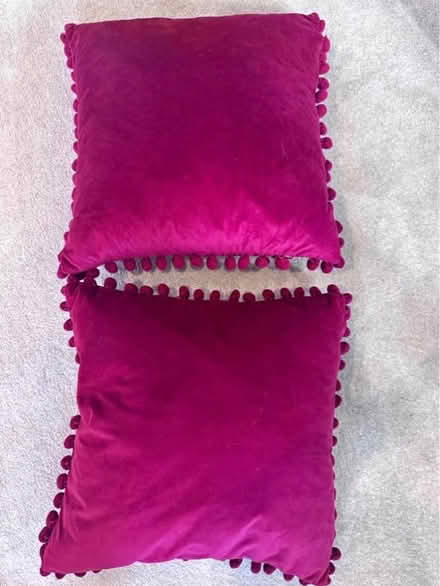 Photo of free 2 duck feather cushions (Woosehill RG41) #1
