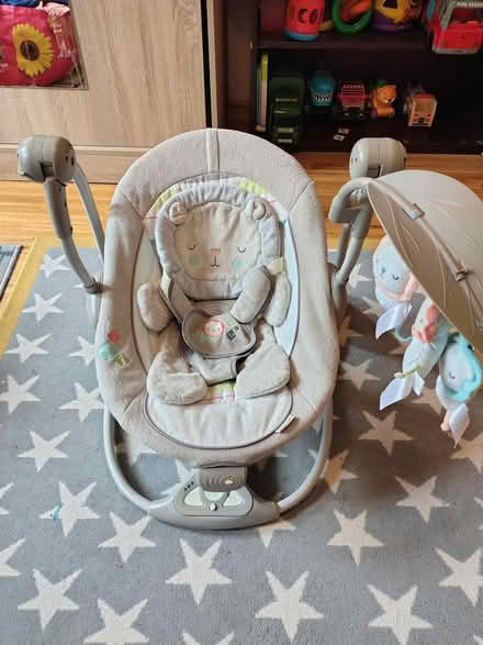 Photo of free Bouncy seat (Downs Barn) #1
