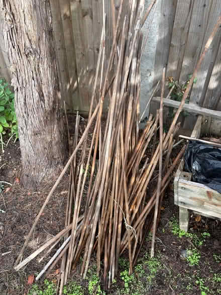 Photo of free Garden canes (old) (Bexleyheath DA6) #1