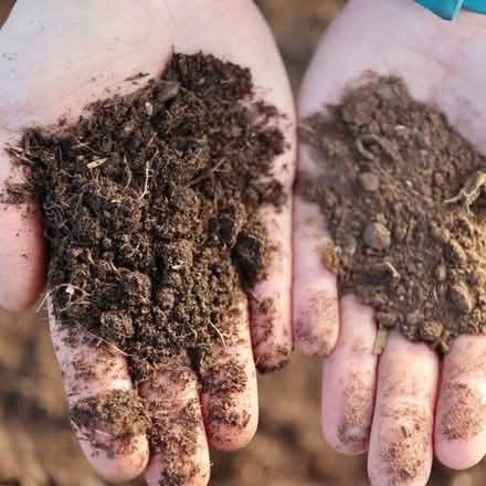 Photo of free Garden soil (NG9 Stapleford) #1