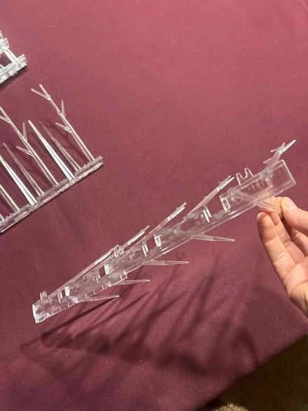 Photo of free Plastic Humane Anti-Bird Spikes (South Fort Collins) #3