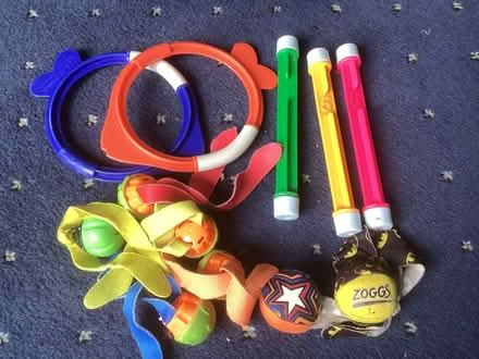Photo of free Weighted swim toys (Blandford Forum DT11) #1
