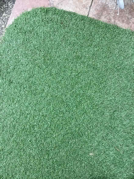 Photo of Fake grass (Shirley CR0) #1