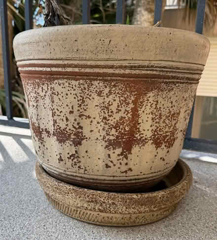 Photo of free Plant Pots (St. Augustine Beach, FL) #1
