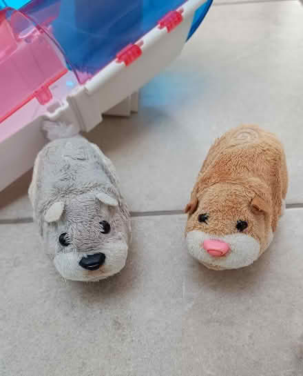 Photo of free Zhu Zhu pets hamster track (Barley SG8) #3
