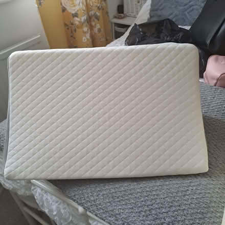 Photo of free Foam Back Support Pillow (Old Town TN40) #2