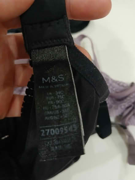 Photo of free Bras (Penrith CA11) #1