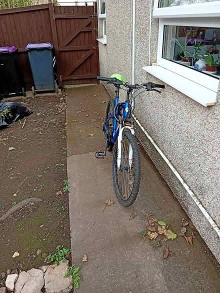 Photo of free Muddy fox bike (TF75az) #1