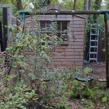 Photo of free Garden shed (Petersfield CB1) #4