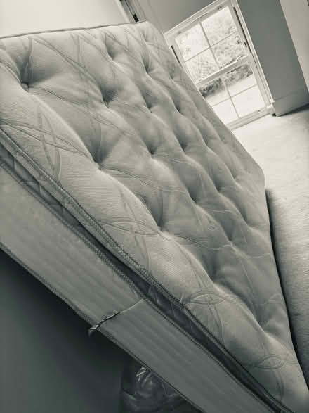Photo of free King size Sealy mattress (TN15 0) #2
