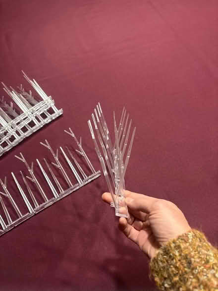 Photo of free Plastic Humane Anti-Bird Spikes (South Fort Collins) #2