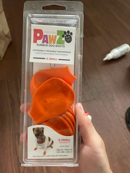 Photo of free small dog supplies (san jose west) #4