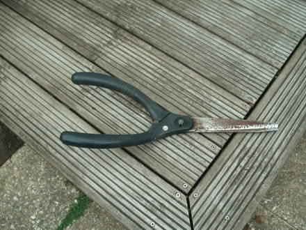 Photo of free Garden shears (Portslade by Sea BN3) #1