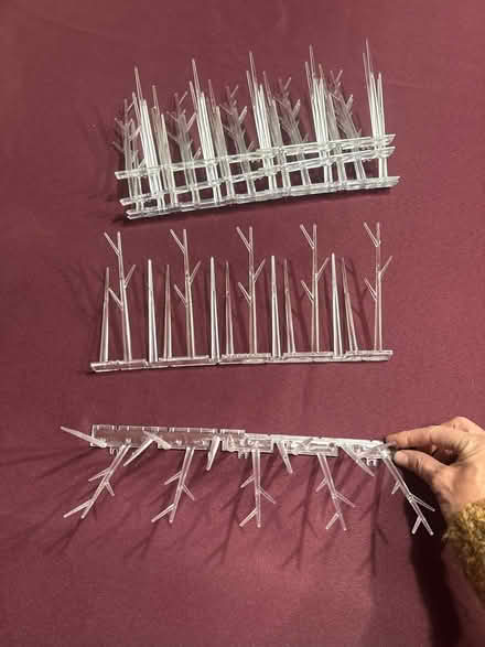 Photo of free Plastic Humane Anti-Bird Spikes (South Fort Collins) #1