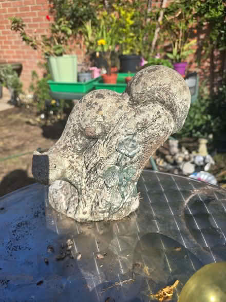 Photo of free Solid stone squirrel garden ornament (Braintree CM7) #1