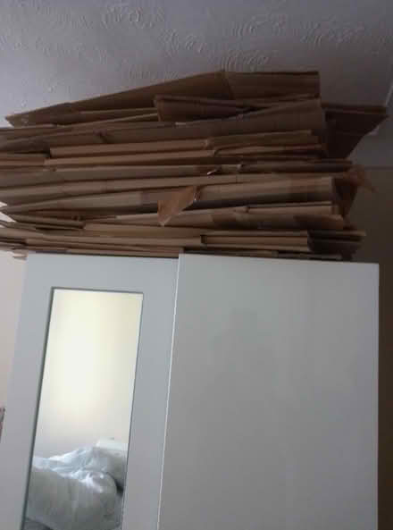 Photo of free Used cardboard boxes (Colwyn Bay LL29) #1