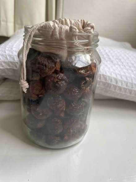 Photo of free Soap nuts for gentle laundry (Greenwich SE10) #1