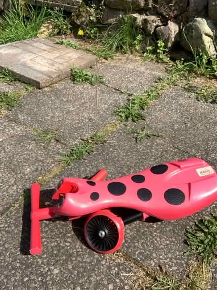 Photo of free Child’s riding toy (Rowrah CA26) #3