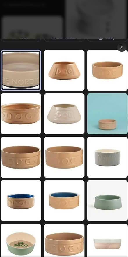 Photo of Dog bowls (Kings Langley WD4) #1