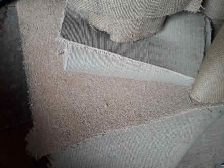 Photo of free Carpet pieces (EH33, Tranent) #1