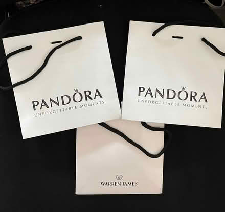 Photo of free Small gift bags (St Julians AL1) #1