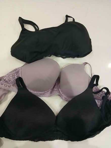 Photo of free Bras (Penrith CA11) #2