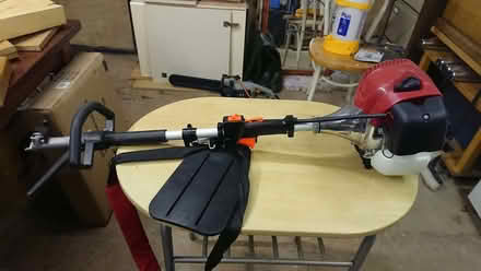 Photo of free 5 in 1 Petrol garden multi-tool (Chelston TQ2) #2