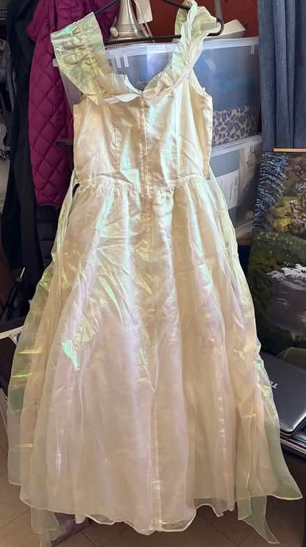 Photo of free Old dress for costume (Emeryville) #1