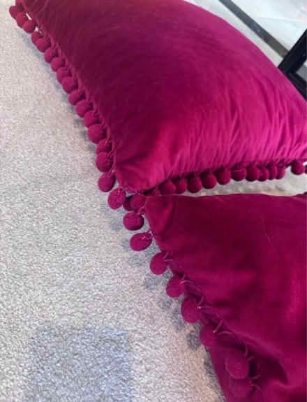 Photo of free 2 duck feather cushions (Woosehill RG41) #2
