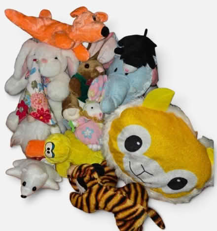 Photo of free 11 plushies (Bloomingdale) #1