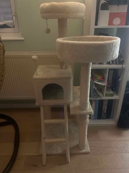 Photo of free Cat tree in good shape (Upper Holloway N19) #4