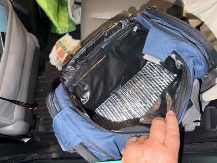 Photo of free Insulated bag (Alameda) #2