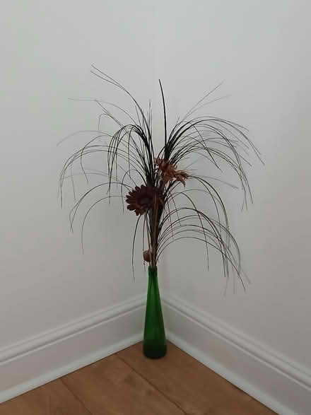 Photo of free Decoration (Eastbourne BN22) #1