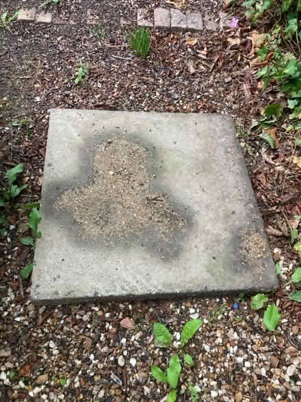 Photo of free ONE square 60x60x5cm paving slab (Neath Hill MK14) #1