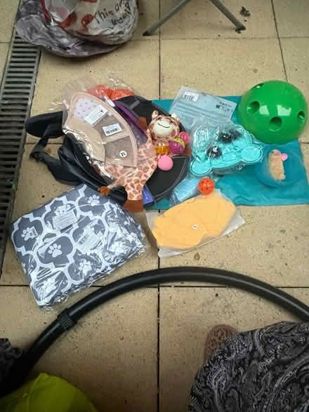 Photo of free Bundle of cat/dog stuff (Hartington Road BN2) #1
