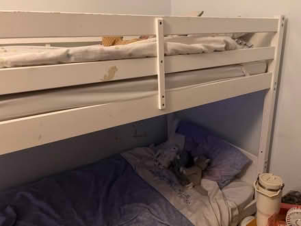 Photo of free Bunk Bed Frame - White (wooden) (Hemel, HP3) #2