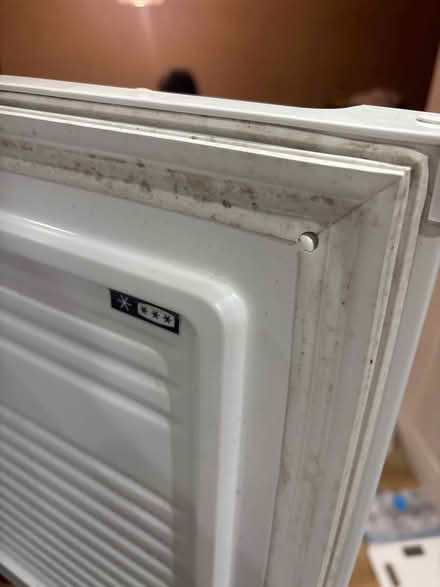 Photo of free Mini freezer (Chessington KT9) #4