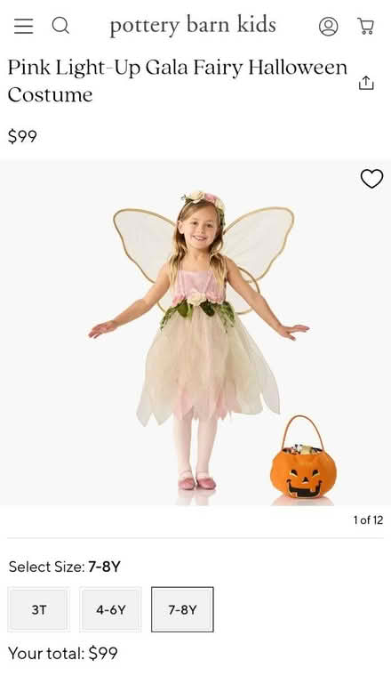 Photo of free Pottery Barn light up fairy costume (El Cerrito) #2